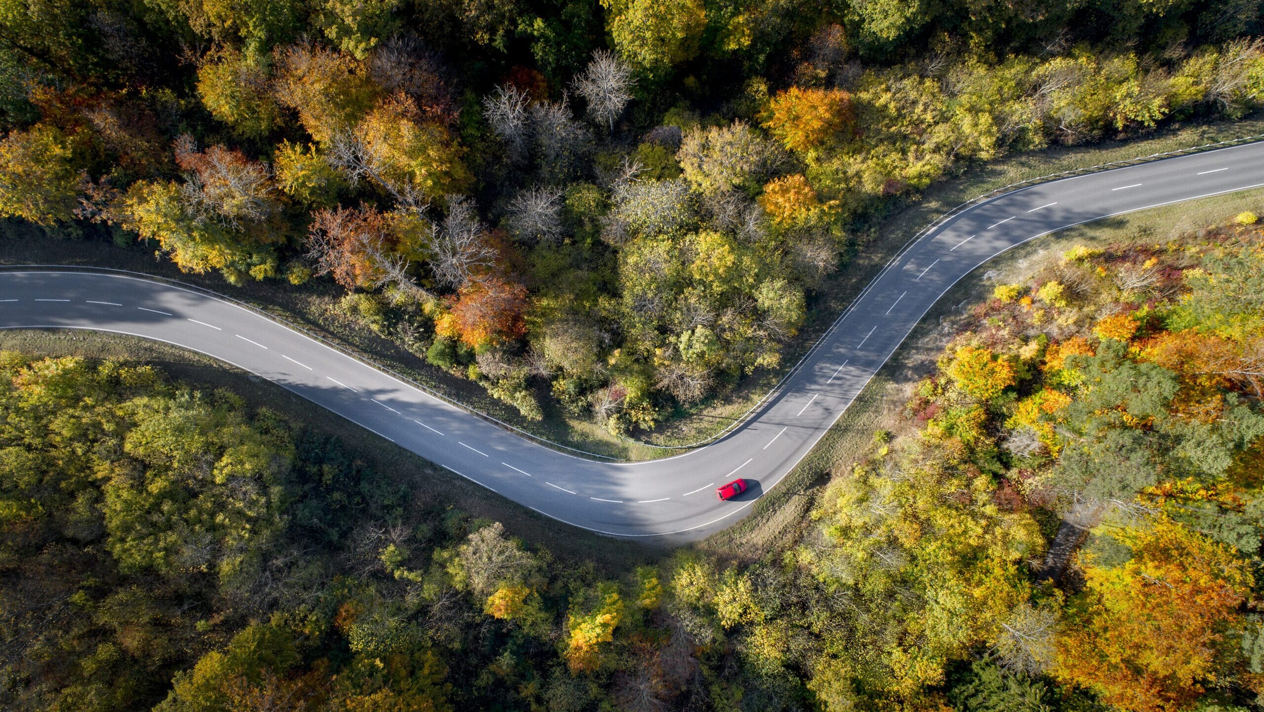 BEVs lead soaring sales of new cars in Germany