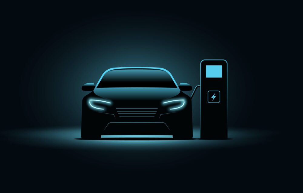 Which brand sold the most EVs in 2025?